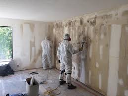 Best Residential Mold Inspection & Testing  in Wantagh, NY